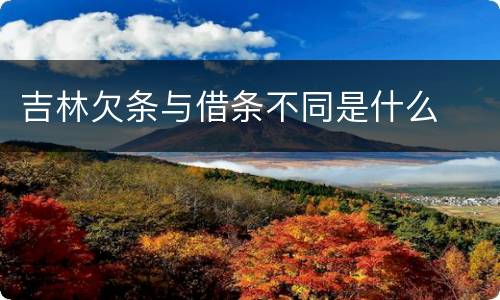 吉林欠条与借条不同是什么