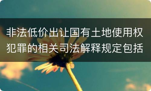 非法低价出让国有土地使用权犯罪的相关司法解释规定包括什么重要内容