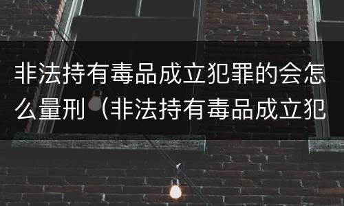 非法持有毒品成立犯罪的会怎么量刑（非法持有毒品成立犯罪的会怎么量刑呢）
