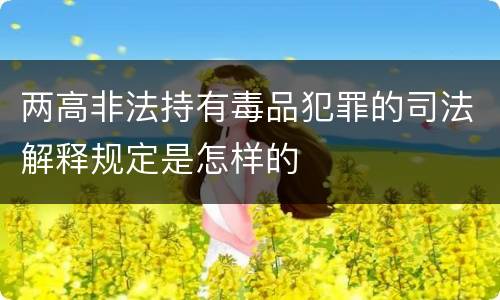 两高非法持有毒品犯罪的司法解释规定是怎样的