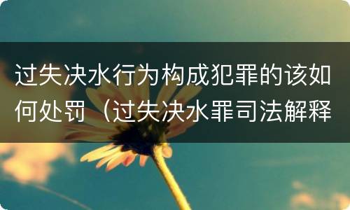 过失决水行为构成犯罪的该如何处罚（过失决水罪司法解释）