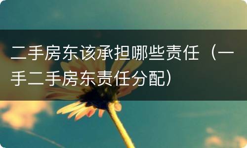 二手房东该承担哪些责任（一手二手房东责任分配）