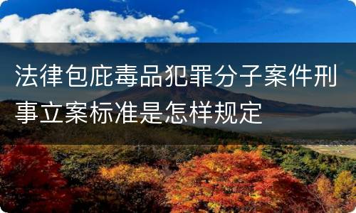 法律包庇毒品犯罪分子案件刑事立案标准是怎样规定