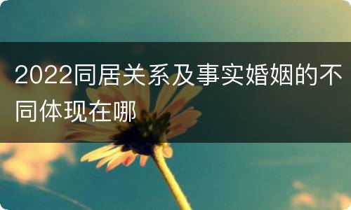 2022同居关系及事实婚姻的不同体现在哪