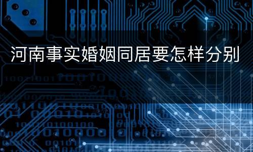 河南事实婚姻同居要怎样分别