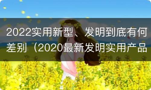 2022实用新型、发明到底有何差别（2020最新发明实用产品）