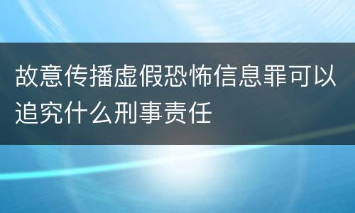 故意传播虚假恐怖信息罪可以追究什么刑事责任