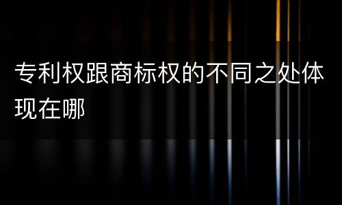 专利权跟商标权的不同之处体现在哪