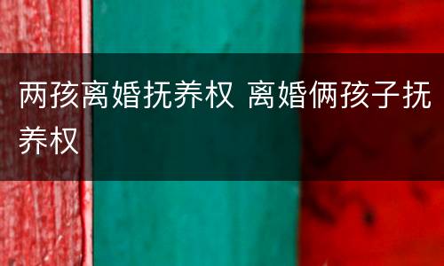 两孩离婚抚养权 离婚俩孩子抚养权