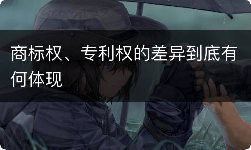 商标权、专利权的差异到底有何体现