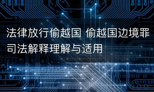 法律放行偷越国 偷越国边境罪司法解释理解与适用