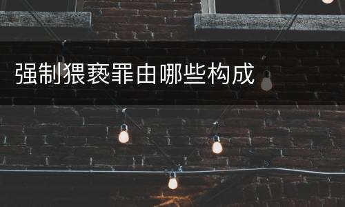 强制猥亵罪由哪些构成