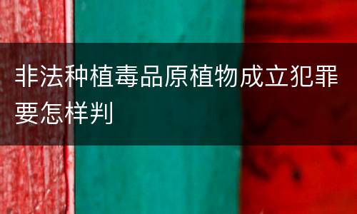 非法种植毒品原植物成立犯罪要怎样判