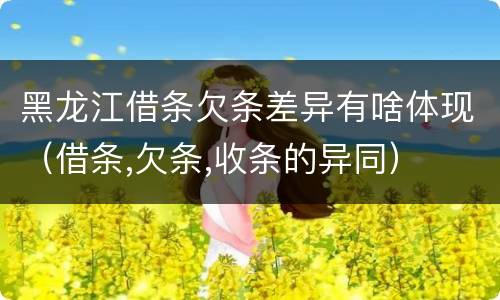 黑龙江借条欠条差异有啥体现（借条,欠条,收条的异同）