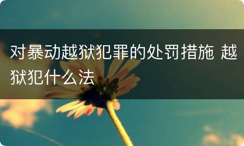 对暴动越狱犯罪的处罚措施 越狱犯什么法