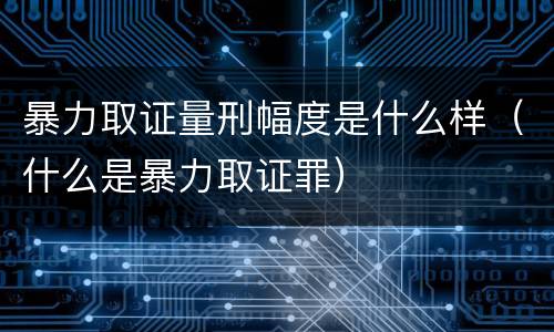 暴力取证量刑幅度是什么样（什么是暴力取证罪）
