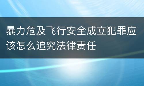暴力危及飞行安全成立犯罪应该怎么追究法律责任