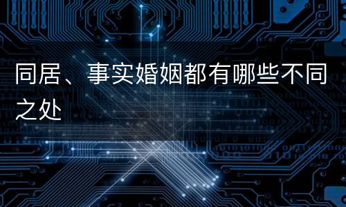 同居、事实婚姻都有哪些不同之处