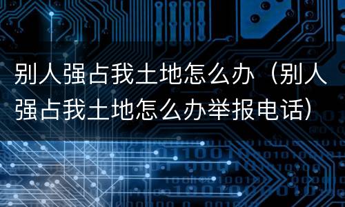 别人强占我土地怎么办（别人强占我土地怎么办举报电话）