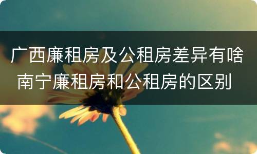 广西廉租房及公租房差异有啥 南宁廉租房和公租房的区别