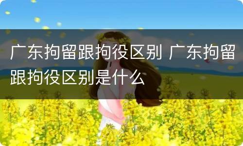 广东拘留跟拘役区别 广东拘留跟拘役区别是什么