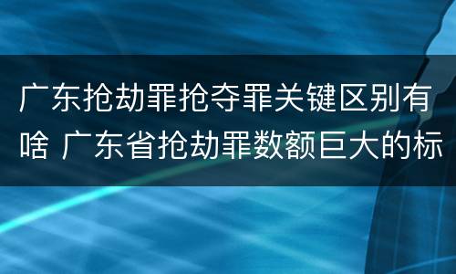 广东抢劫罪抢夺罪关键区别有啥 广东省抢劫罪数额巨大的标准
