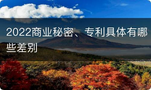 2022商业秘密、专利具体有哪些差别