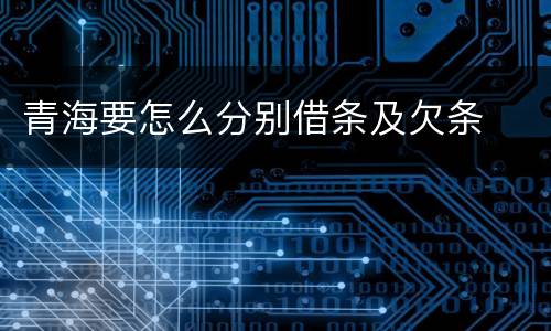 青海要怎么分别借条及欠条