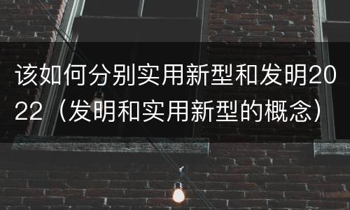 该如何分别实用新型和发明2022（发明和实用新型的概念）