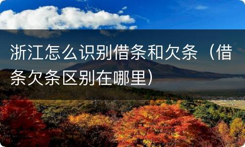 浙江怎么识别借条和欠条（借条欠条区别在哪里）