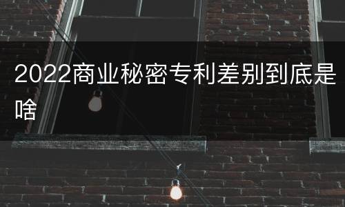 2022商业秘密专利差别到底是啥