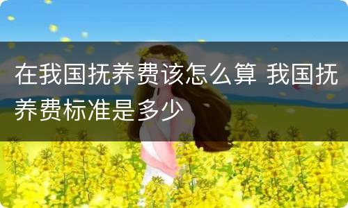在我国抚养费该怎么算 我国抚养费标准是多少