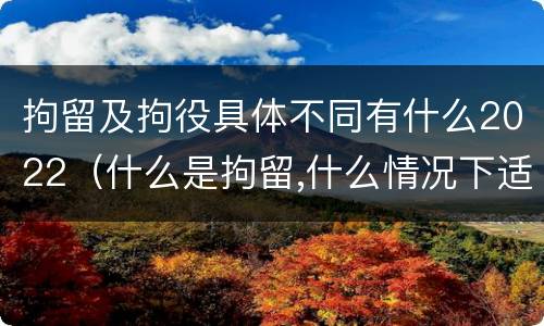拘留及拘役具体不同有什么2022（什么是拘留,什么情况下适用拘留）