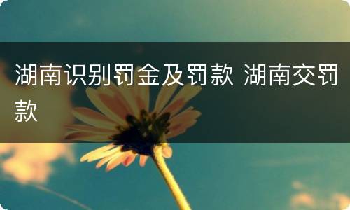 湖南识别罚金及罚款 湖南交罚款