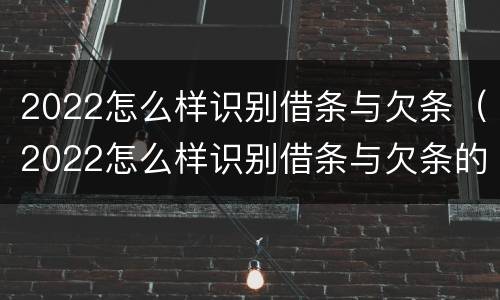 2022怎么样识别借条与欠条（2022怎么样识别借条与欠条的真假）
