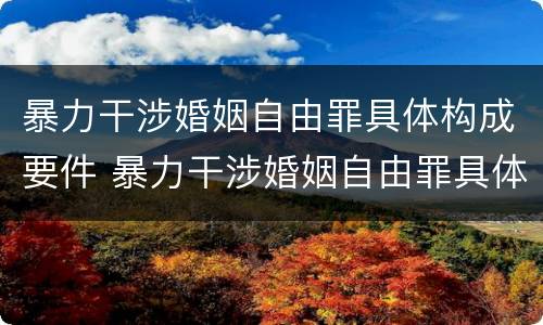 暴力干涉婚姻自由罪具体构成要件 暴力干涉婚姻自由罪具体构成要件包括