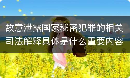 故意泄露国家秘密犯罪的相关司法解释具体是什么重要内容