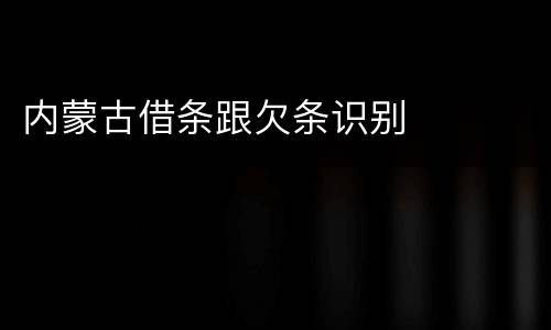 内蒙古借条跟欠条识别
