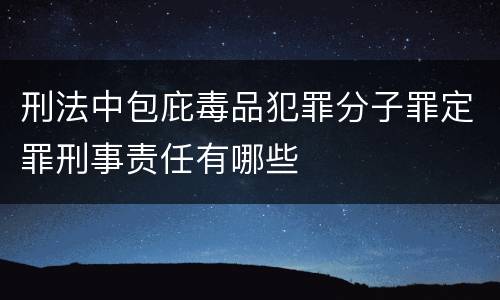 刑法中包庇毒品犯罪分子罪定罪刑事责任有哪些