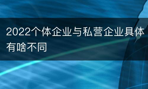 2022个体企业与私营企业具体有啥不同