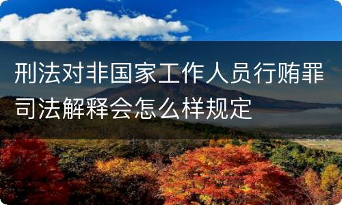 刑法对非国家工作人员行贿罪司法解释会怎么样规定