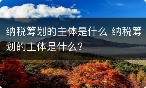 纳税筹划的主体是什么 纳税筹划的主体是什么?