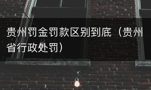 贵州罚金罚款区别到底（贵州省行政处罚）