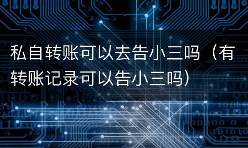 私自转账可以去告小三吗（有转账记录可以告小三吗）