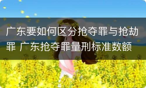 广东要如何区分抢夺罪与抢劫罪 广东抢夺罪量刑标准数额