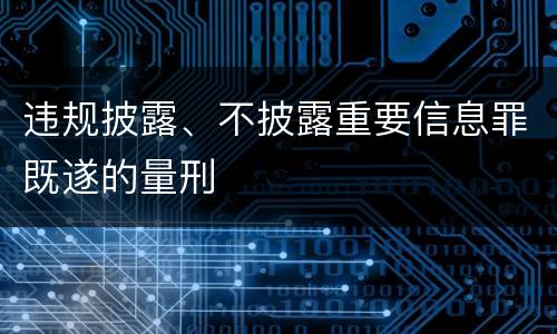 违规披露、不披露重要信息罪既遂的量刑