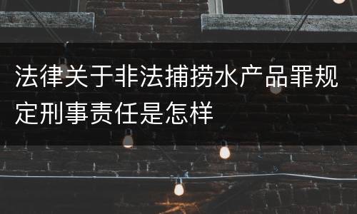 法律关于非法捕捞水产品罪规定刑事责任是怎样