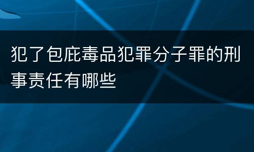 犯了包庇毒品犯罪分子罪的刑事责任有哪些