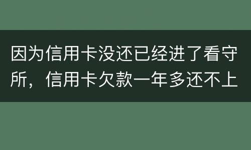 因为信用卡没还已经进了看守所，信用卡欠款一年多还不上怎么办
