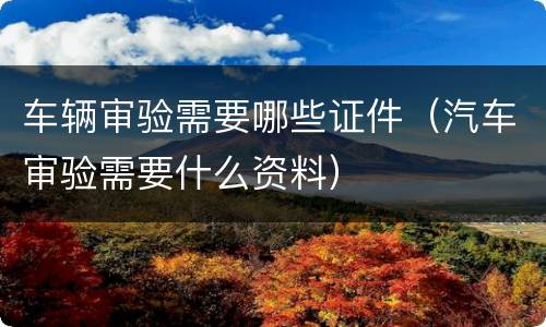 车辆审验需要哪些证件（汽车审验需要什么资料）